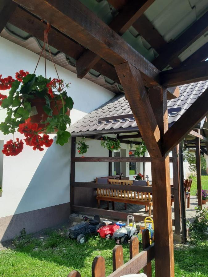 Casa De Oaspeti Laura Ришнов Екстер'єр фото